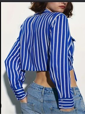 Cropped Blue Stripe button tie Zara shirt